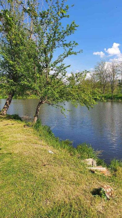 Продава се Парцел в с. Куртово Конаре, Област Пловдив - 21115 кв.м за 17 €/кв.м - Снимка #18