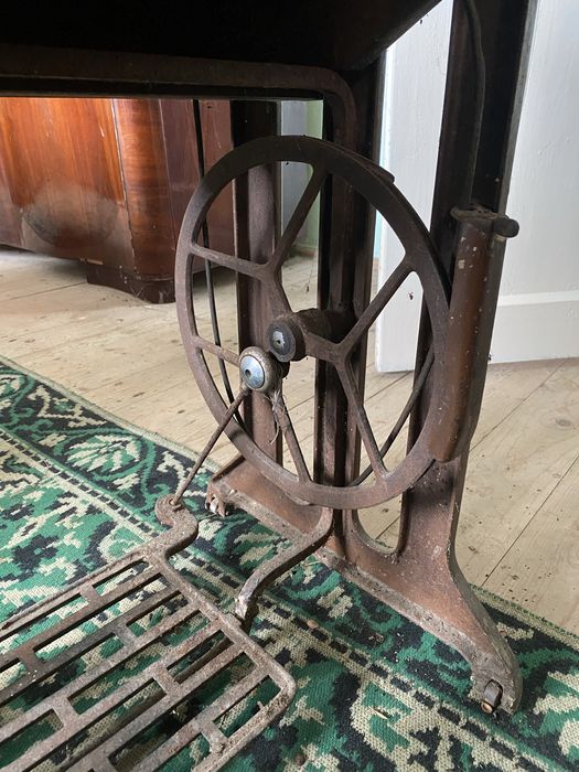 Masină de cusut Ileana