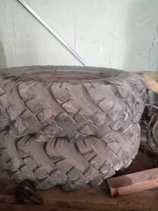 Покрышки от ГАЗ 66 вездеход