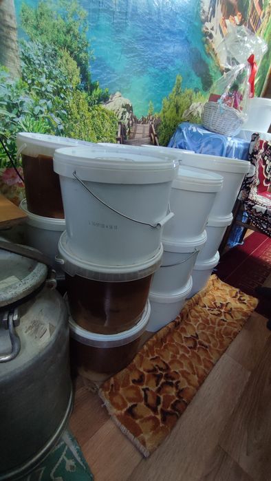 Мед свежий с пасеки
