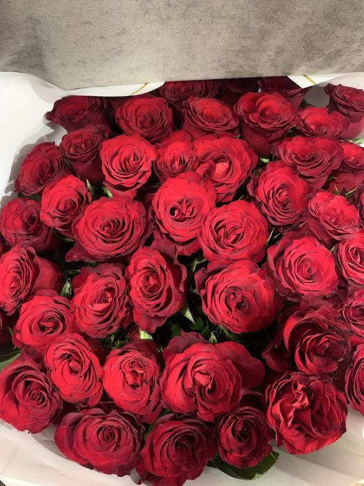 Роза 51штук с оформление