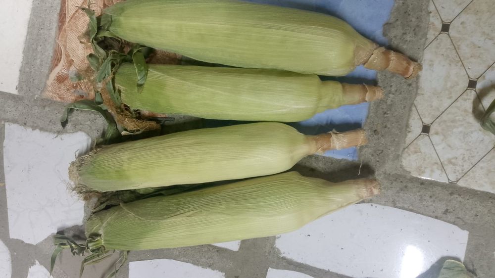 Сладкий кукуруза