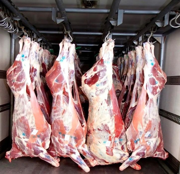 Продам мясо говядины молодняк