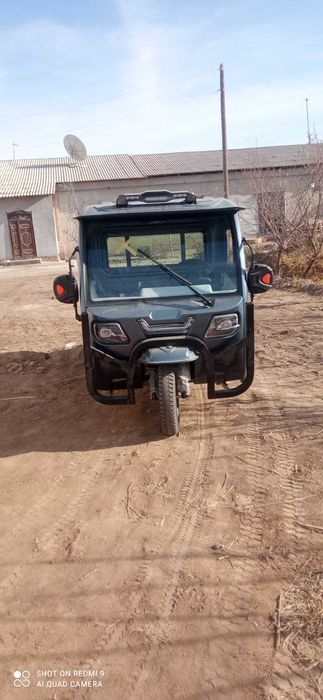 Электра муравей матаксикил