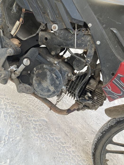 Прода рейсер вайпер