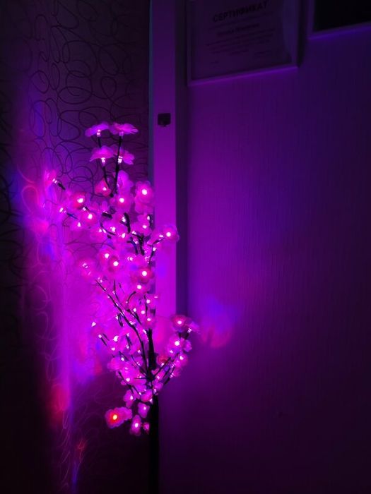 Гарантия 100%  профессиональный