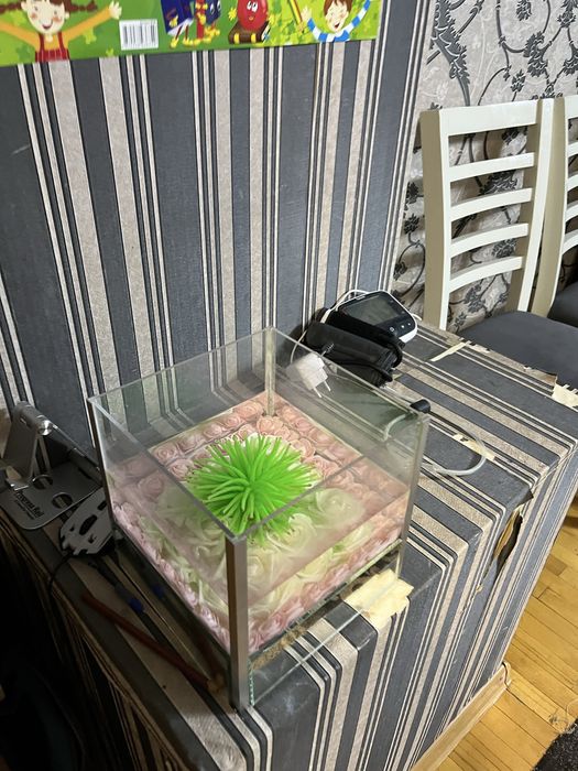 Оквариум для рыб