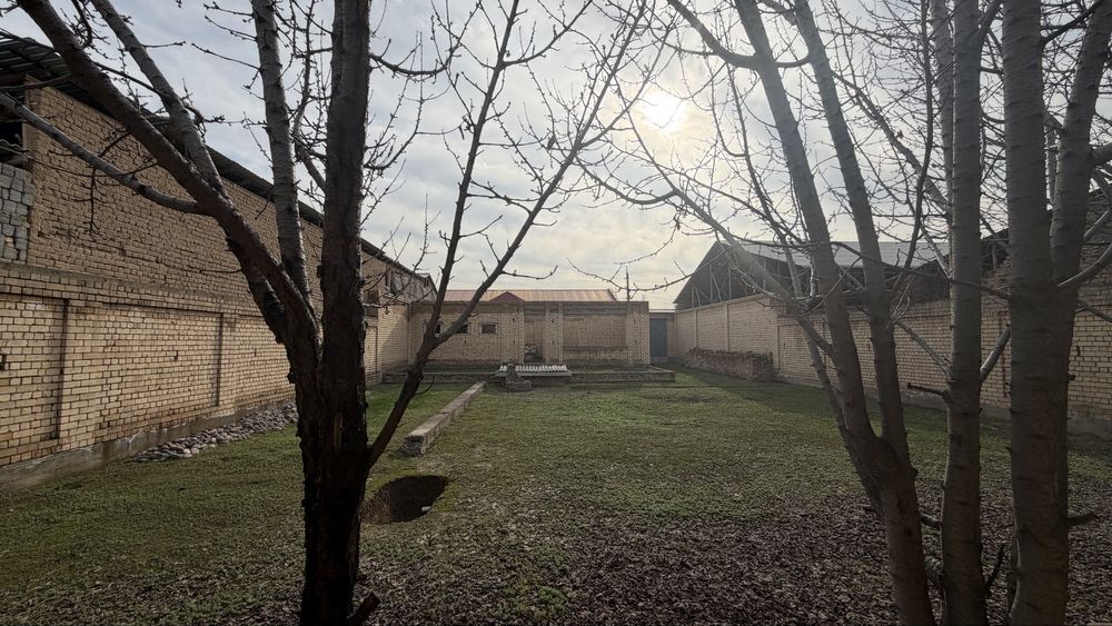 Срочно 8 соту битмаган уй сотилади Шердор туйхона