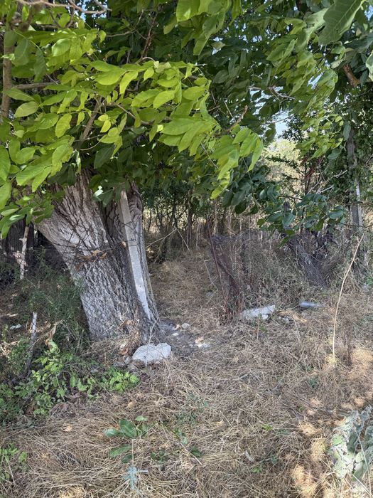 Продава се Парцел в Варна, Базар Левски - 900 кв.м за 28 €/кв.м - Снимка #4