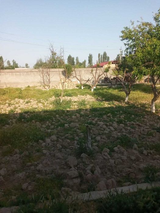 Toshkent viloyati Yangiyo‘l Lenizm mahallasida 8 sotixli yer sotiladi
