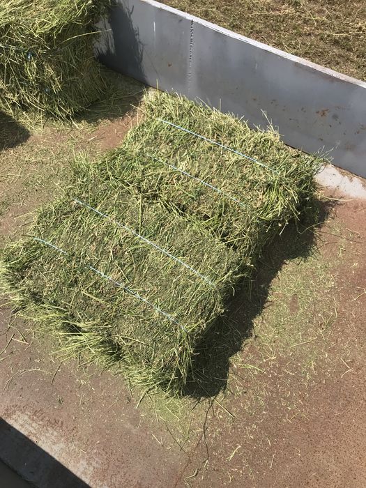 Малки Бали люцерна трети откос