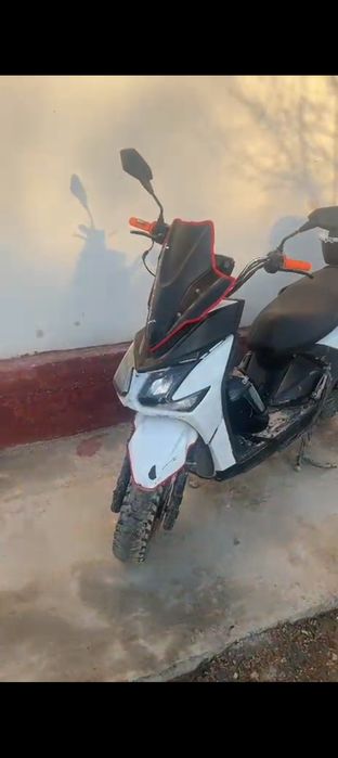 Самурай мопет биннали