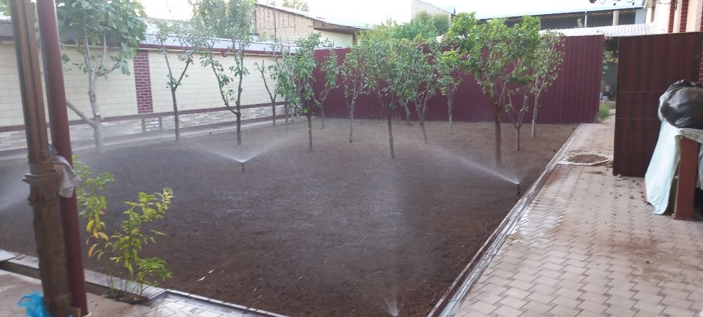 Paliv fantan qilamiz, gazon uruglari, tayor gazon