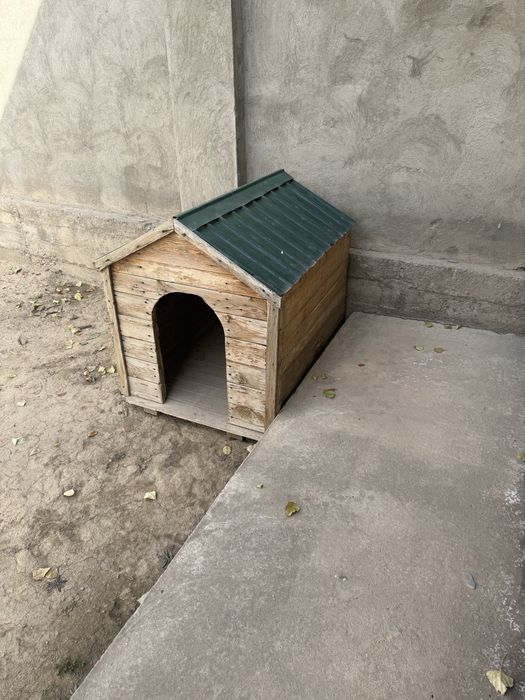 Собачи бутка дла болшой и малый собакы