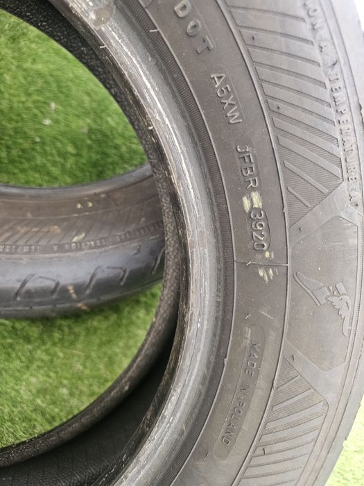 205 60 16 vara goodyaer