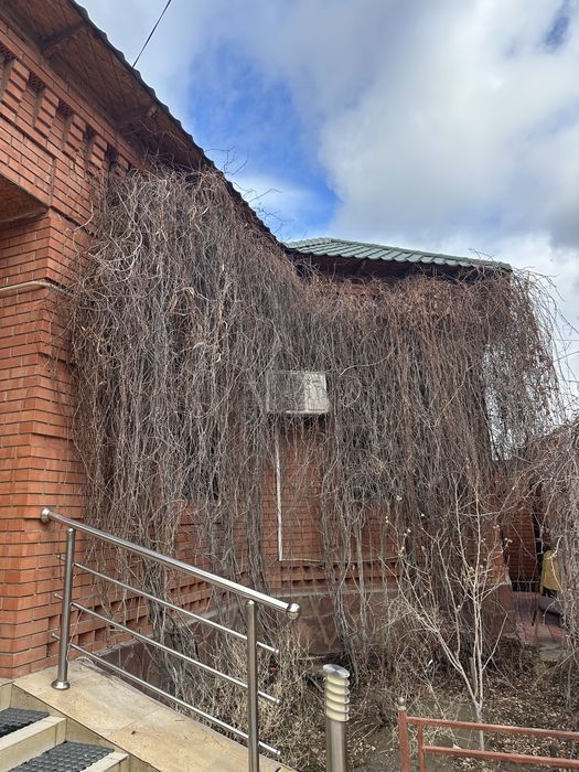 Шырмауық тегін береміз