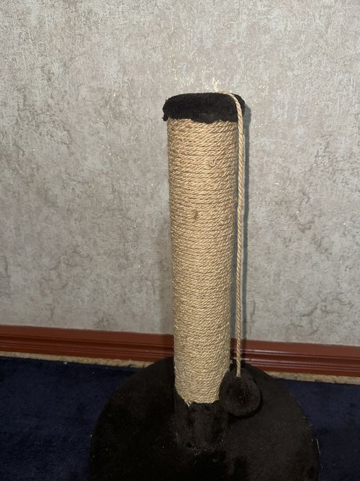 Когтеточка для кошек