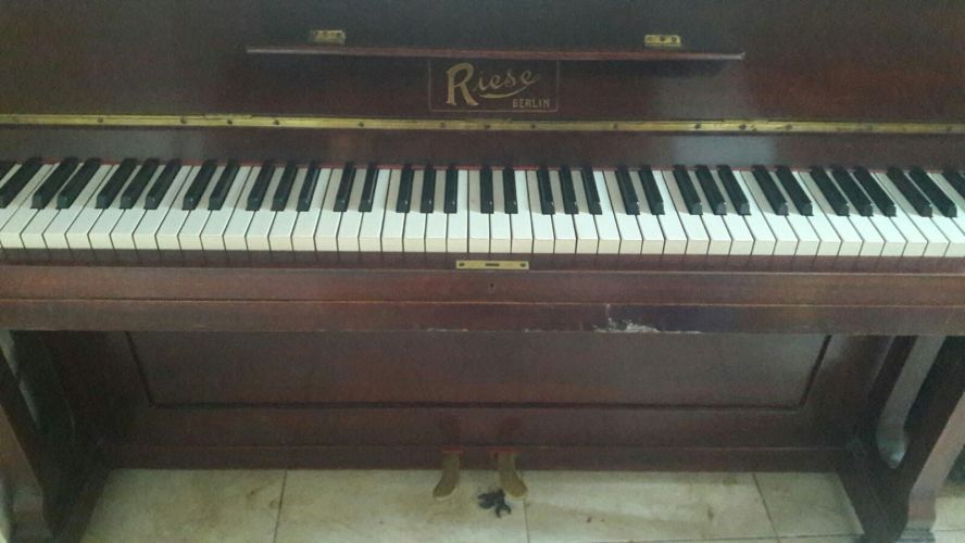 Pian Riese Berlin