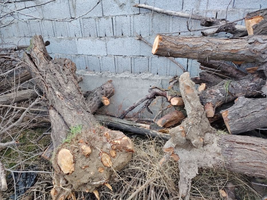 O‘tin sotiladi kirgilida