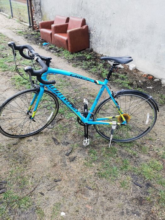 Cursiera  specelized elit