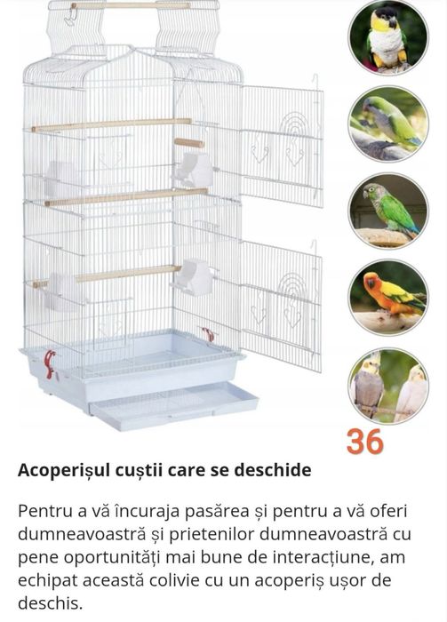 Colivie alba pentru pasari de companie