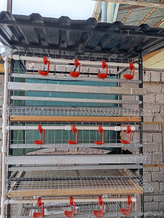 Tovuq qafas sotiladi 4 qavatlik