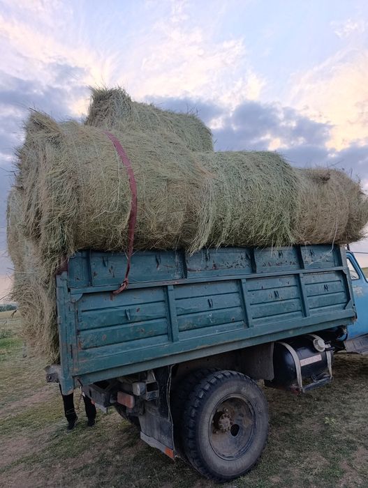 Продам сено сено