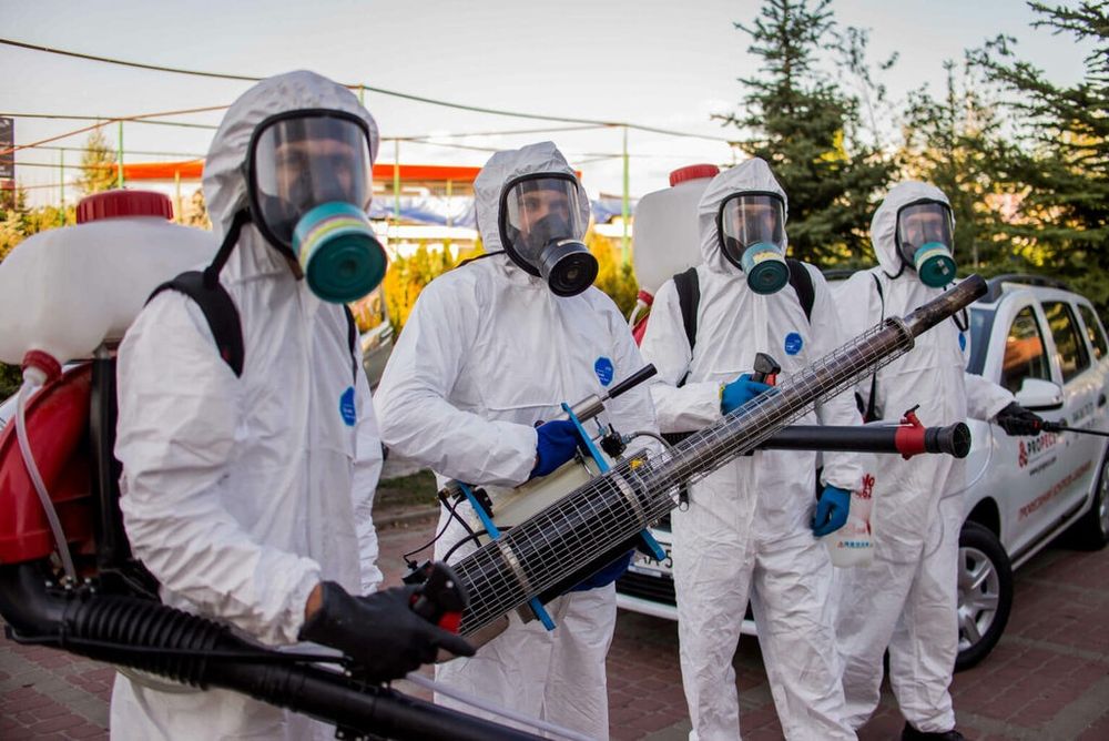 СЭС услуги по низким ценам, 100% результат