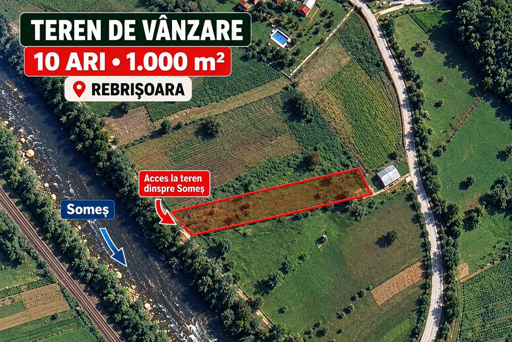 Mere de vanzare in Rebrisoara 10