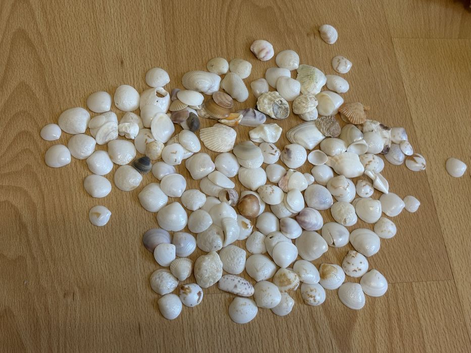 Ракушка для аквариума или подделок