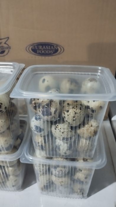 Яйцо перепелиное