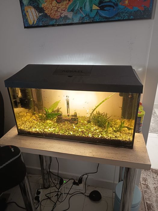 Acvariu capacitate 54 l