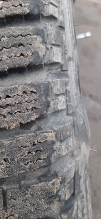 Зимние шины Nord master