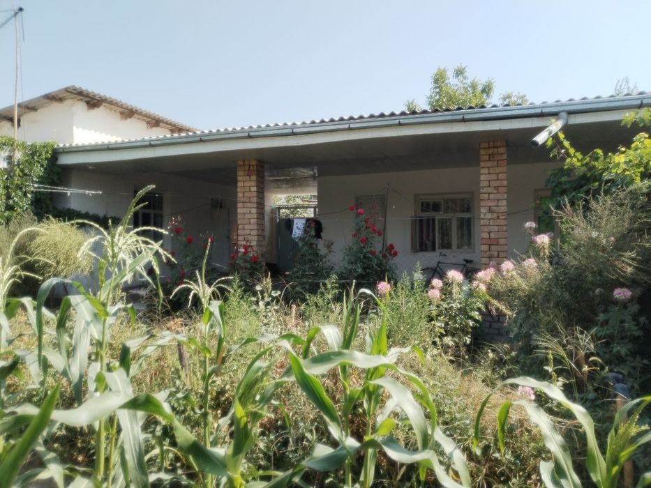 Uchastka sotiladi uyimizi xamma sharoitlari bor