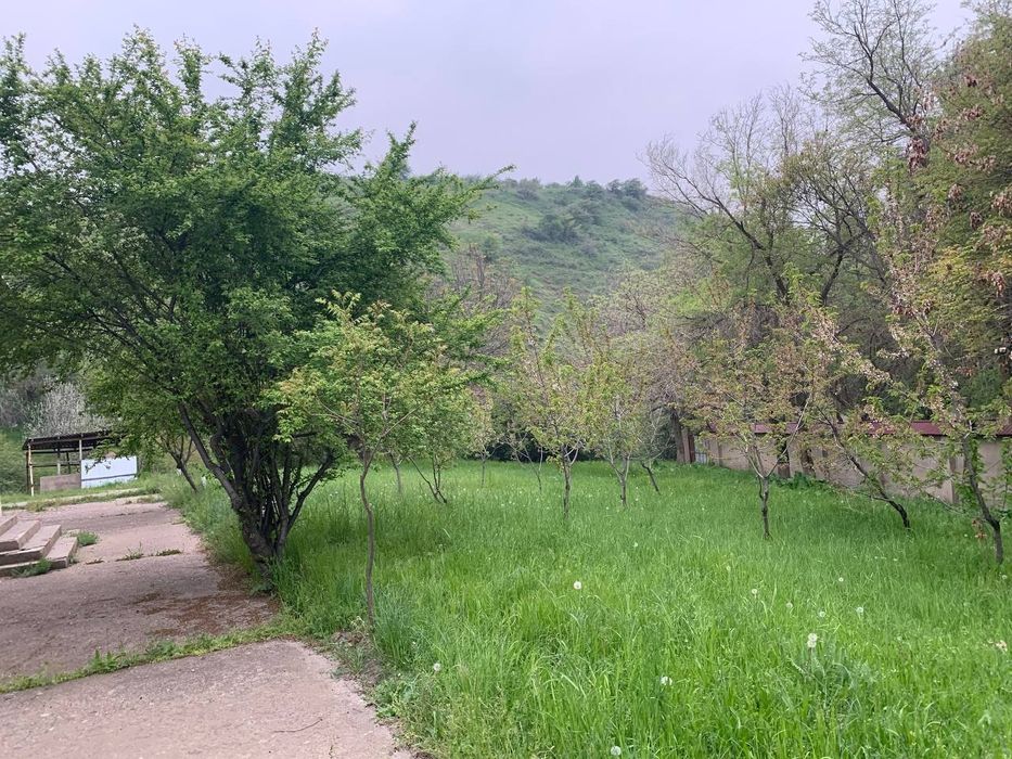 Kumushkonda joylashgan dalahovli sotiladi