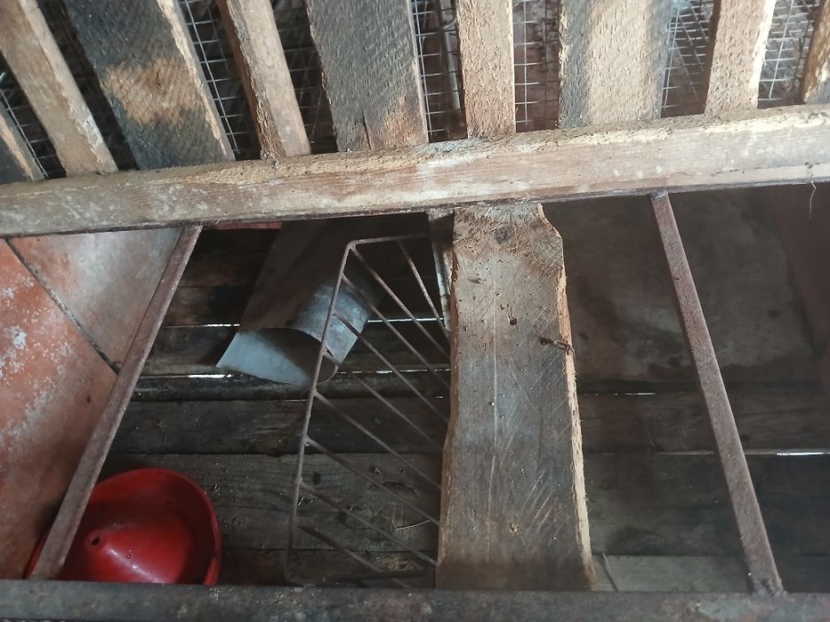 Vând cușcă pentru iepuri.