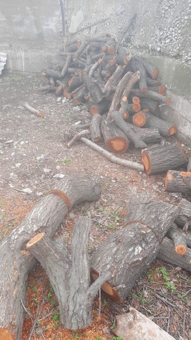 Коргак агаш, дрова