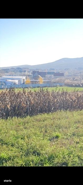 Teren intravilan DJ Bacau-Statiunea Sarata Bai
