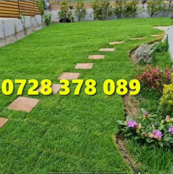 Gazon / Insamantare / Rulouri de Gazon