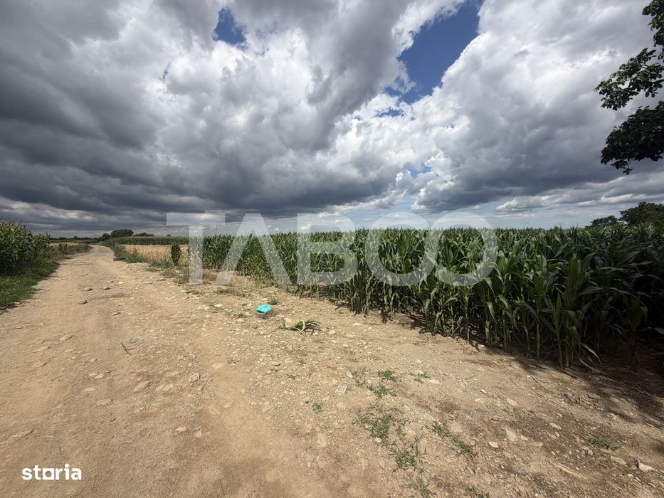 Comision 0% Teren intravilan 3934 mp toate utilitatile zona Dejani