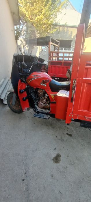 Lochin muravey srochni sotiladi