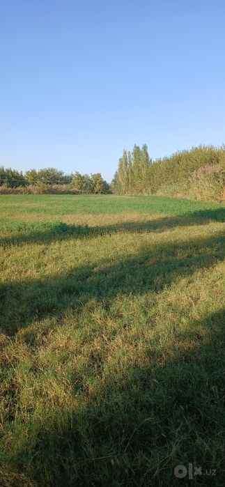 Прлдается участка для жилья и скотоводство