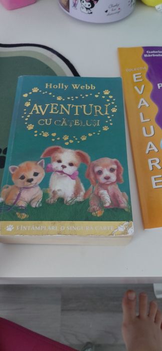 Aventuri cu catelusi Holly Webb