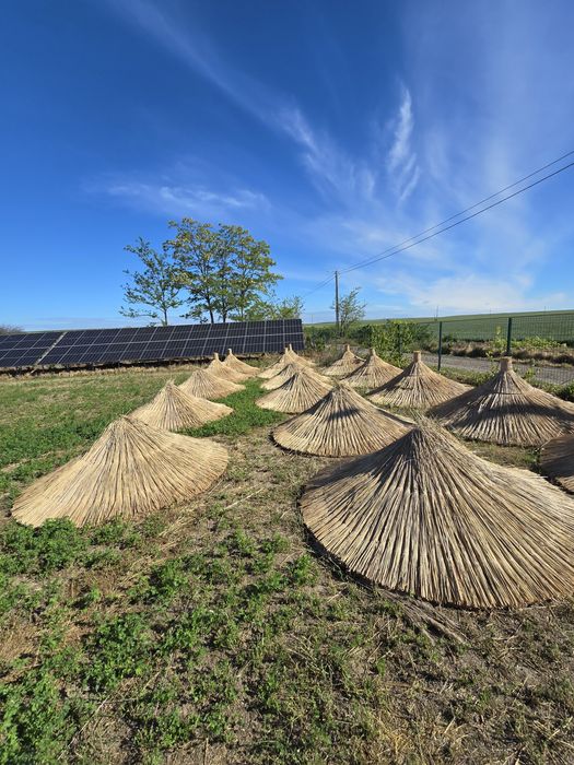 Umbrelă rustică cu stuf – umbră naturală