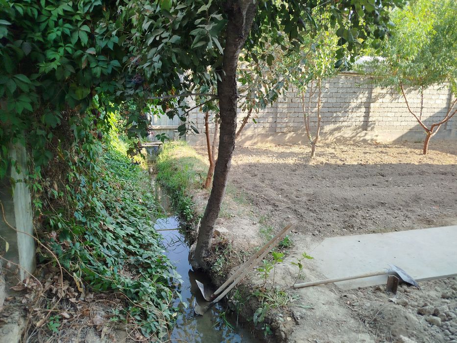 4 сотихли ховли сотилади