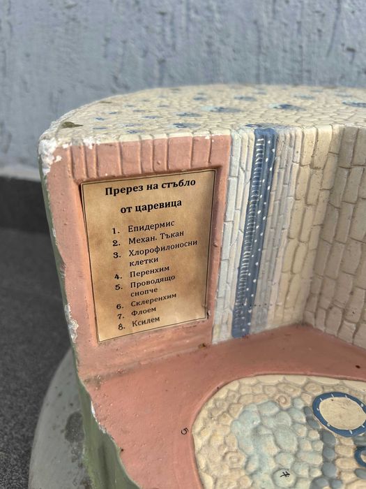 Соц Учебни Модели Макети