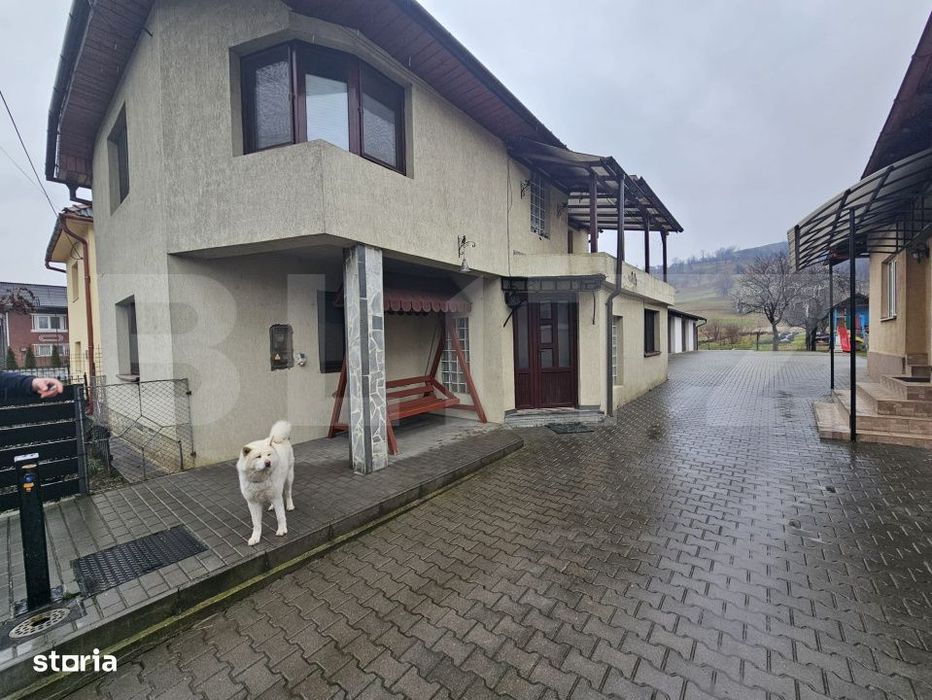 2 Case deosebite de vanzare - Zona Rebrisoara