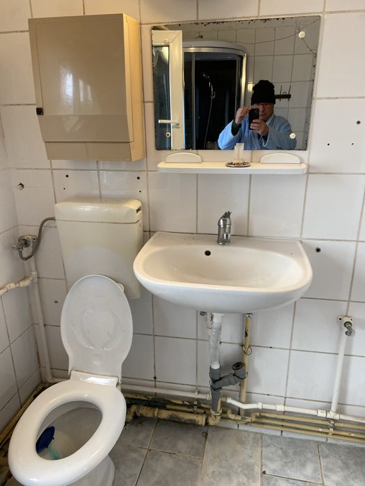 Ghiuveta +tot ce se vede