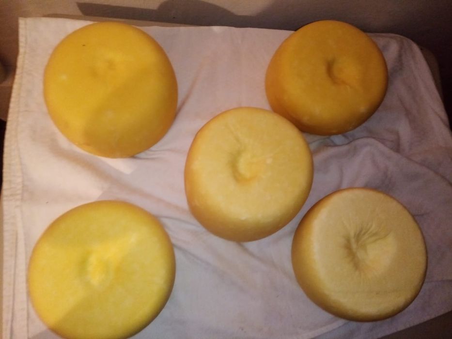 Brânză și casi de vaca