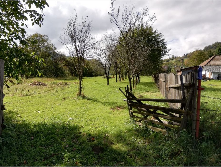 Teren intravilan în Ceahlău 2500 mp